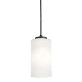 AFX Leo 6" Medium Base Pendant - 120V - Black