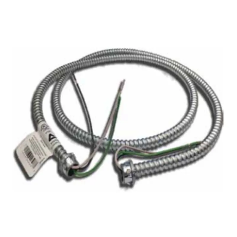 Anamet Whips