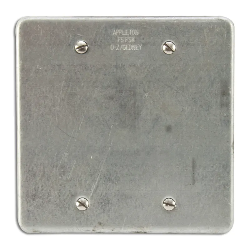 Blank Cover, 2-Gang, Steel, Fits FS and FD Boxes