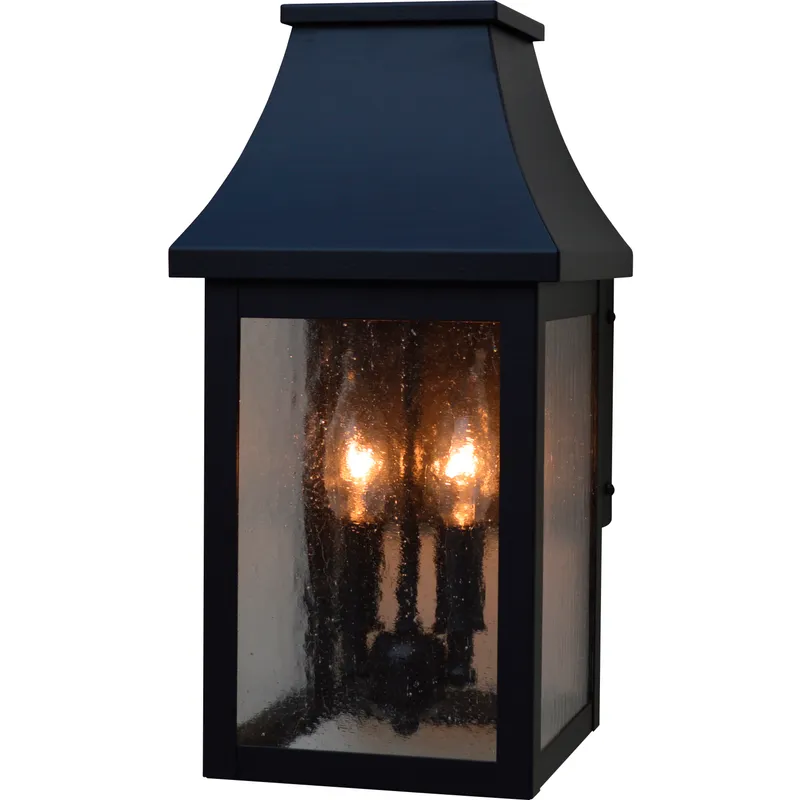 Providence 2 Light 14 inch Bronze Outdoor Wall Mount in Clear Seedy