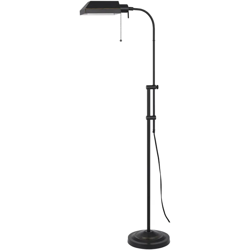 Pharmacy 46 inch 100 watt Dark Bronze Floor Lamp Portable Light, Adjustable Pole