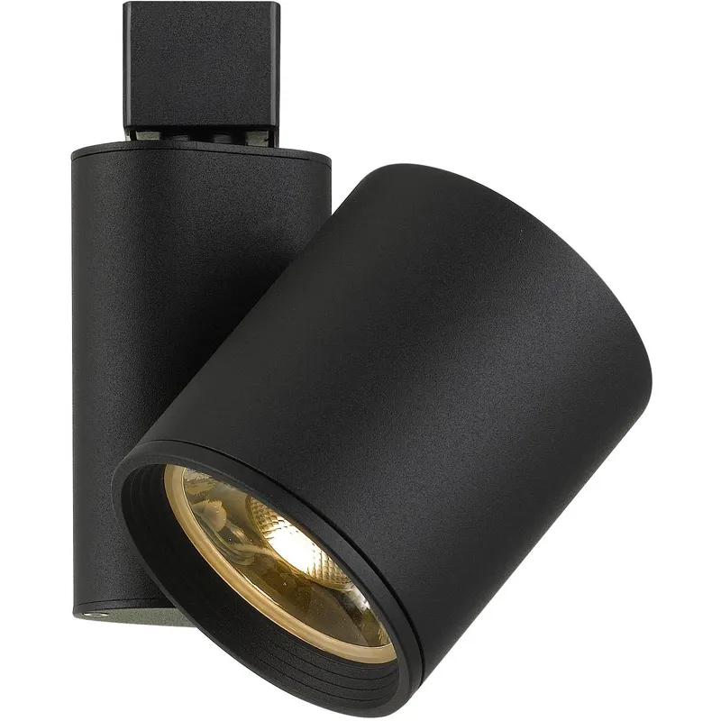 Ht System 1 Light Black Track Head Ceiling Light