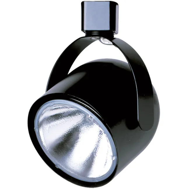 Signature 1 Light 120V Black Track Head Ceiling Light, Adjustable