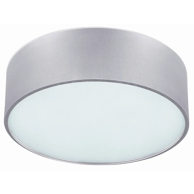 Madison 2 Light 13 inch Aluminum Flush Mount Ceiling Light