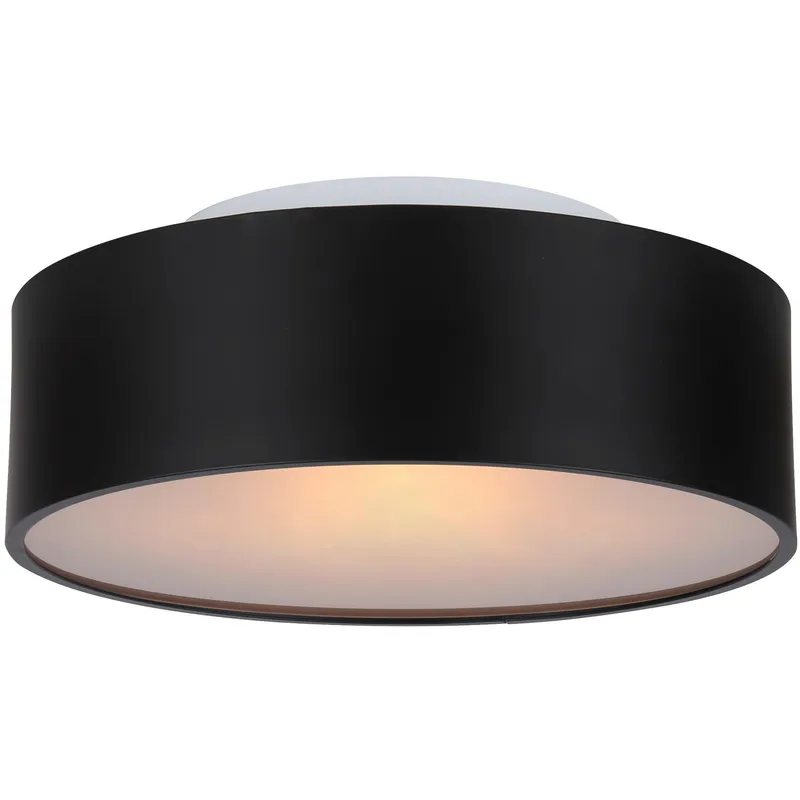 Dexter 2 Light 13 inch Matte Black Flush Mount Ceiling Light
