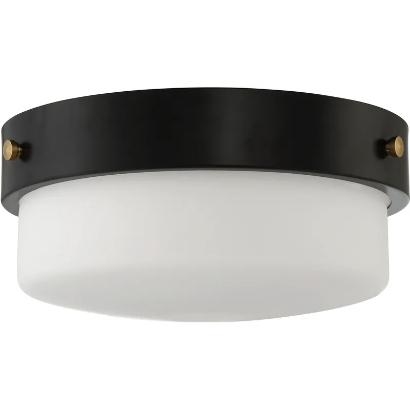 Oak Street 2 Light 13 inch Flat Black Flushmount Ceiling Light