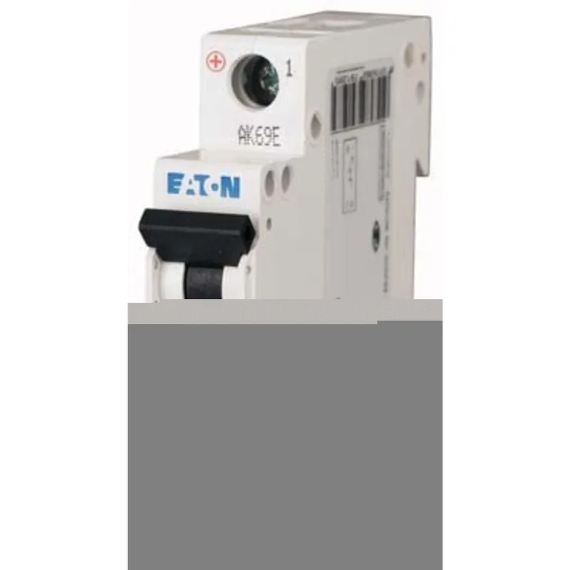 2A, 1P, 277V AC, 48V DC, 10 kAIC, B-Curve, UL 1077 CB