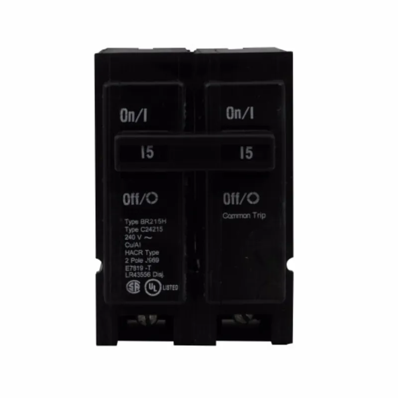 TYPE BR 2 POLE 30 AMP