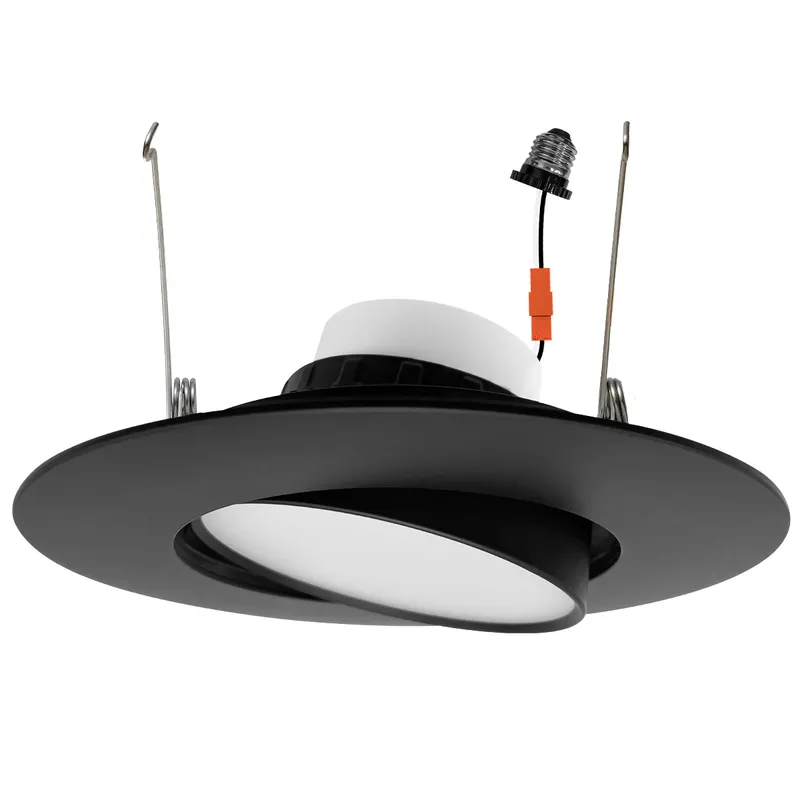 5/6" Retrofit Downlight: Adjust-Line