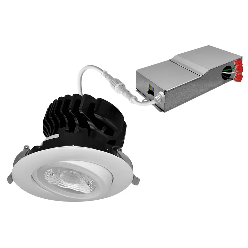 4" Gimbal Adjustable Downlight Canless