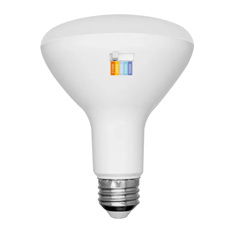 PAR38 100W Equivalent