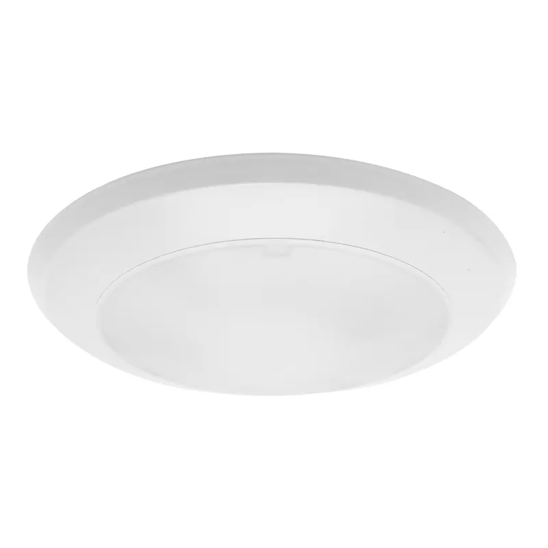6" EcoValue Disk
