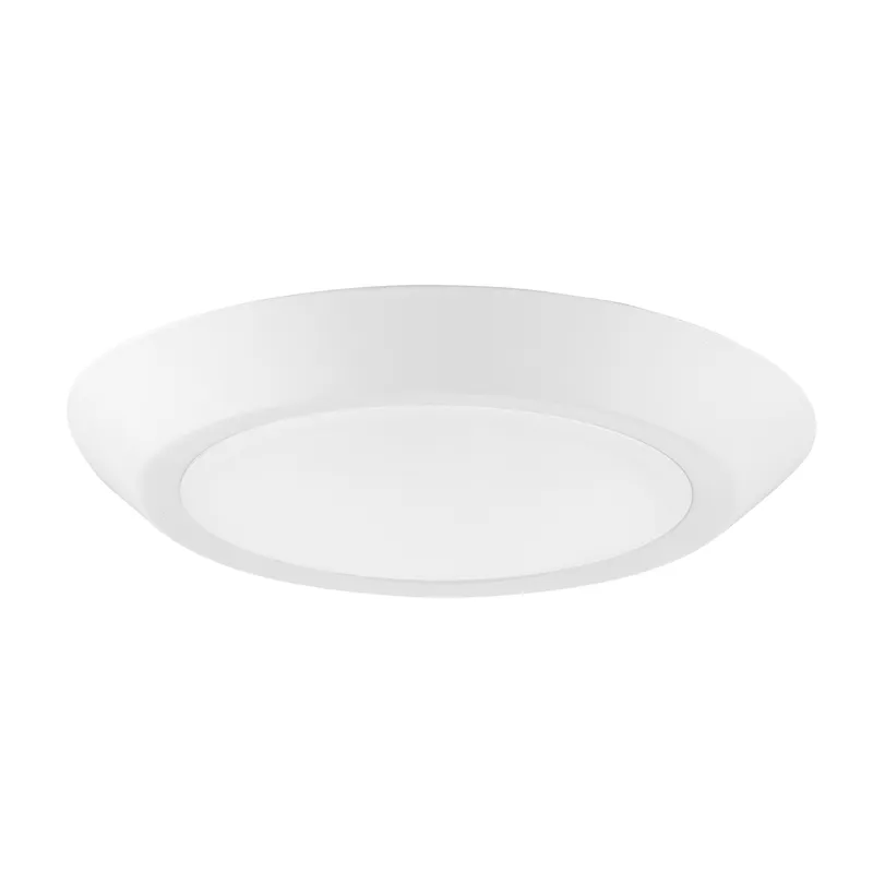 8" Disk Lite: Cusp-Line