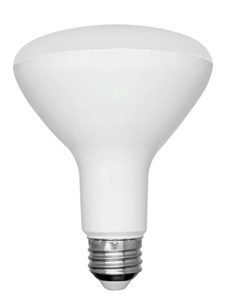 BR30 LED Bulb