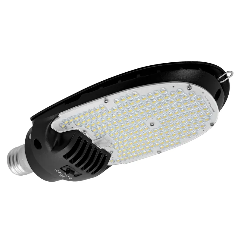 Directional Retrofit Lamp