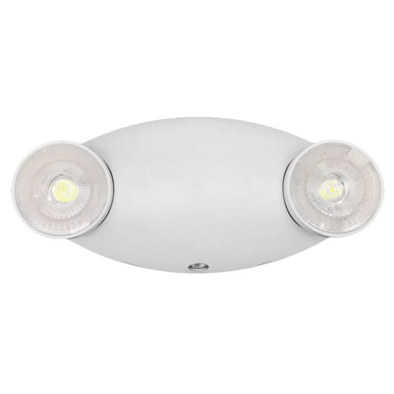 Emergency Bug Eye Double Headed Fixture