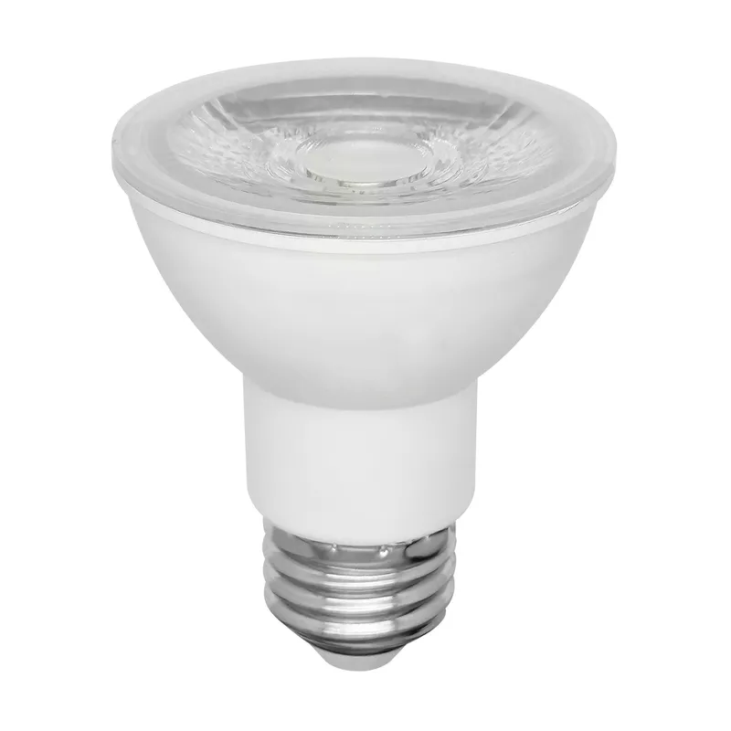 P20 LED Bulb