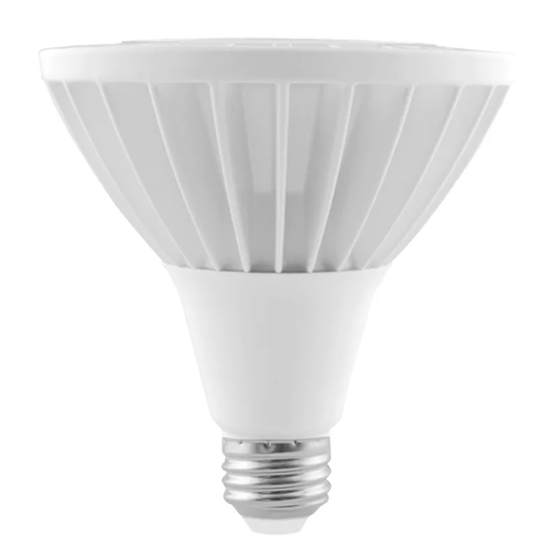 PAR Bulbs (Jewelery Series)