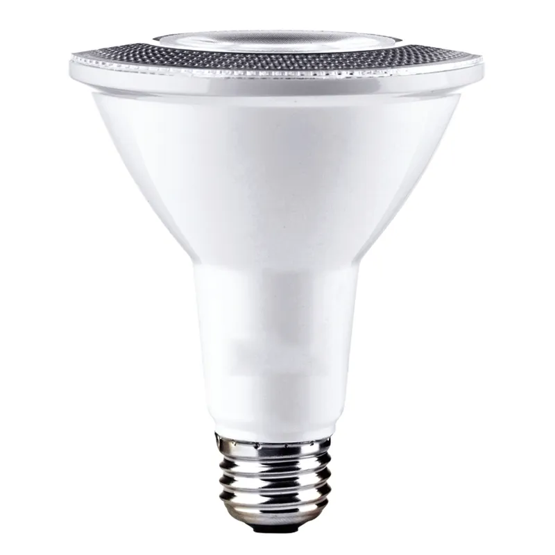 PAR30 LED Bulb