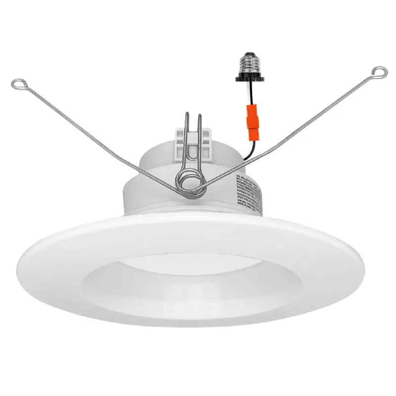 5/6" Retrofit Kit Downlight: RDL-Line