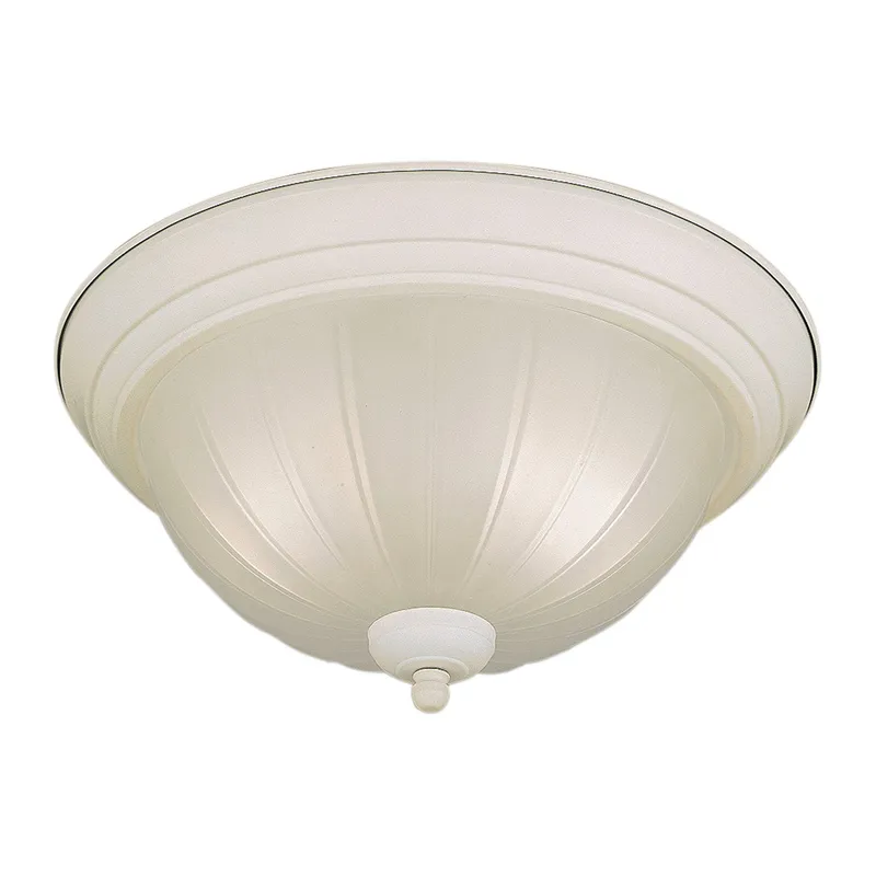 Forte Lighting Flush Mounts