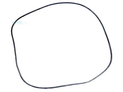 Hayward SX240Z1 O-Ring S240 Sand Filter