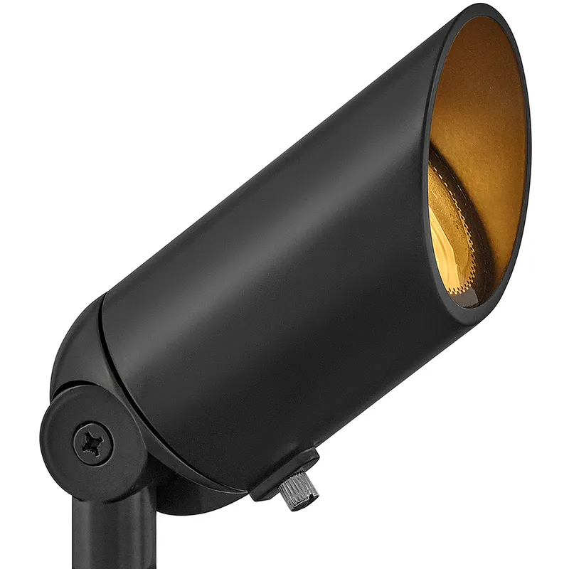 Hardy Island 12v 8 watt Brass Satin Black Landscape Spot Light