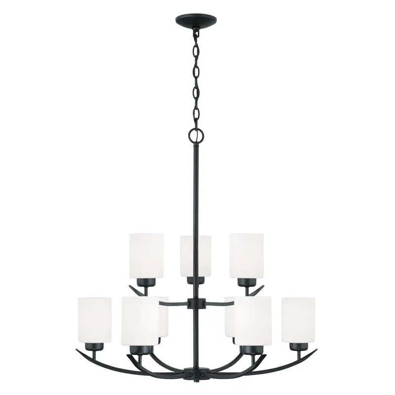 Dixon 9 Light 28 inch Matte Black Chandelier Ceiling Light