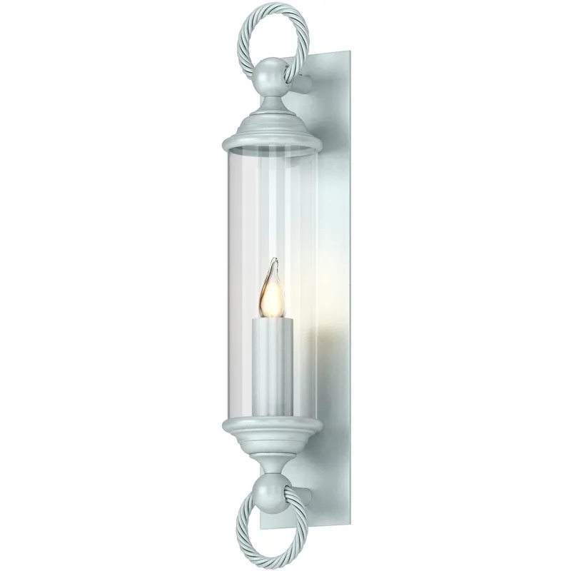 Cavo 1 Light 25.8 inch Coastal Burnished Steel Outdoor Wall Sconce in Clear, Large