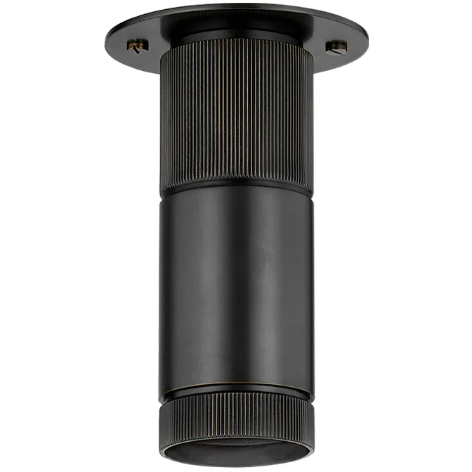 Dighton 1 Light 4.75 inch Distressed Bronze Flush Mount Ceiling Light