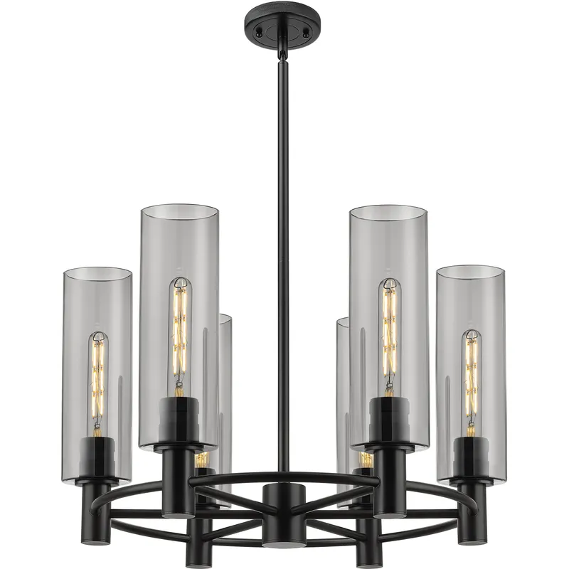 Crown Point 6 Light 24 inch Matte Black Chandelier Ceiling Light in Light Smoke Glass