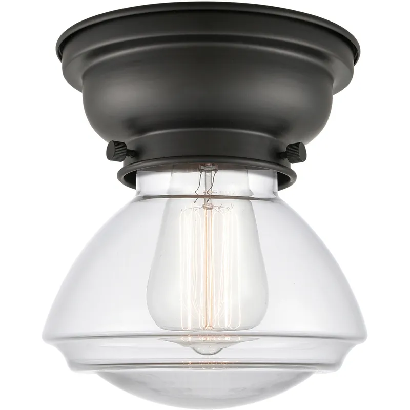 Aditi Olean 1 Light 7 inch Matte Black Flush Mount Ceiling Light in Clear Glass, Aditi