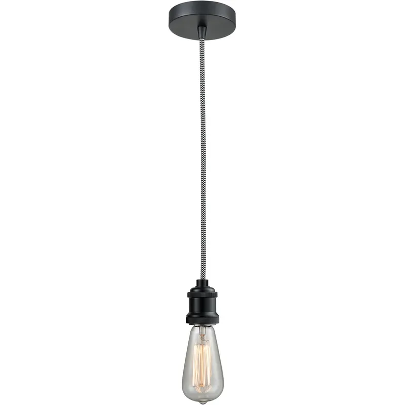 Edison Bare Bulb 1 Light 2 inch Matte Black Mini Pendant Ceiling Light in Zebra, Edison