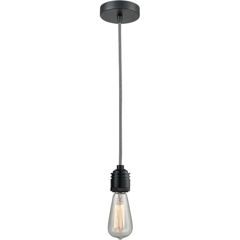 Winchester Bare Bulb 1 Light 2 inch Matte Black Mini Pendant Ceiling Light in Zebra, Winchester