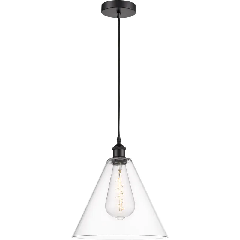 Edison Cone LED 12 inch Matte Black Mini Pendant Ceiling Light in Clear Glass