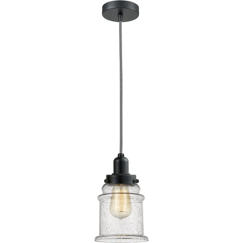 Whitney Canton 1 Light 8 inch Matte Black Mini Pendant Ceiling Light in Zebra, Whitney
