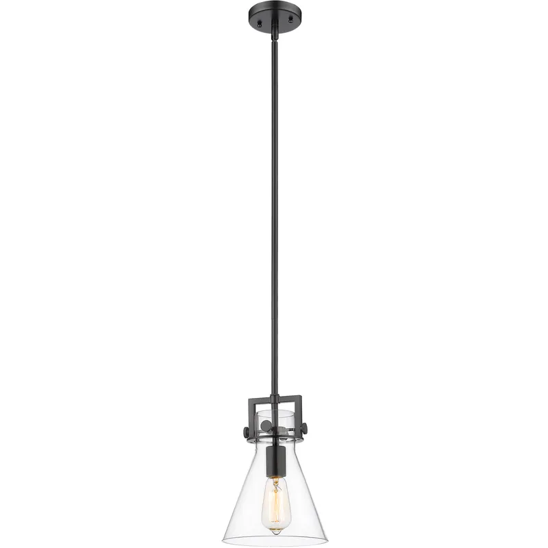 Newton Cone 1 Light 8 inch Matte Black Mini Pendant Ceiling Light in Clear Glass
