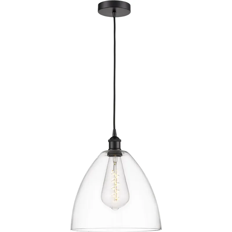 Edison Dome LED 12 inch Matte Black Mini Pendant Ceiling Light in Clear Glass