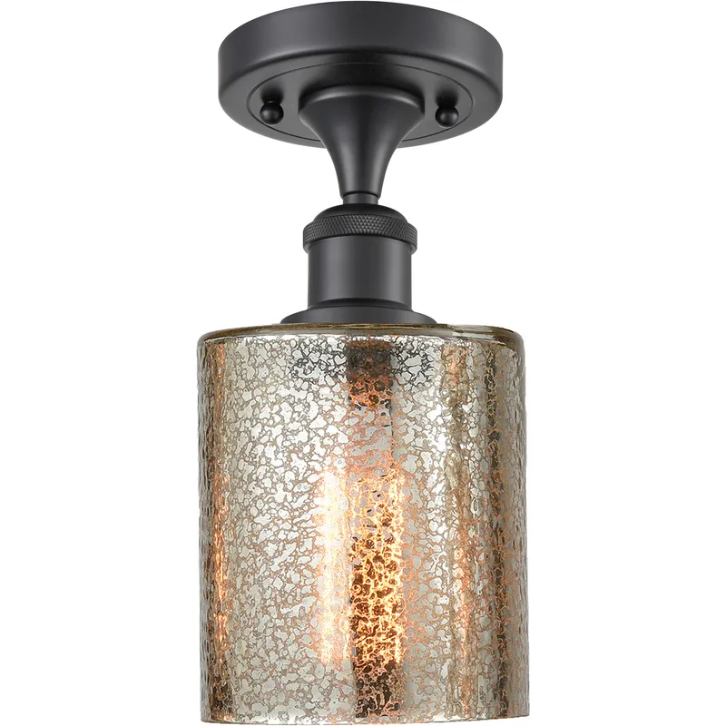 Edison Cobbleskill 1 Light 5 inch Matte Black Semi-Flush Mount Ceiling Light in Mercury Glass