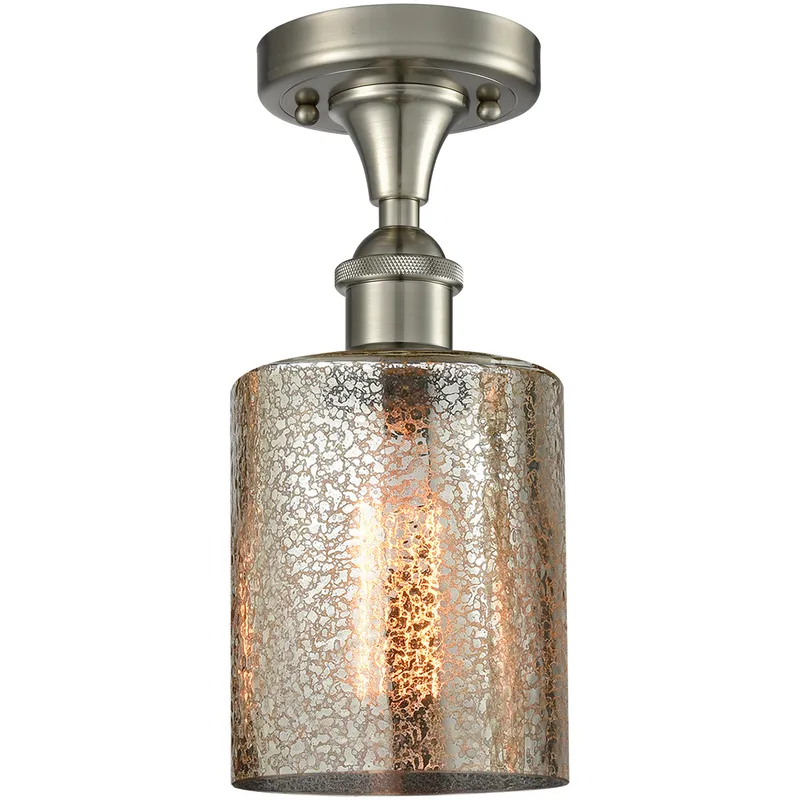 Edison Cobbleskill 1 Light 5 inch Brushed Satin Nickel Semi-Flush Mount Ceiling Light in Mercury Glass