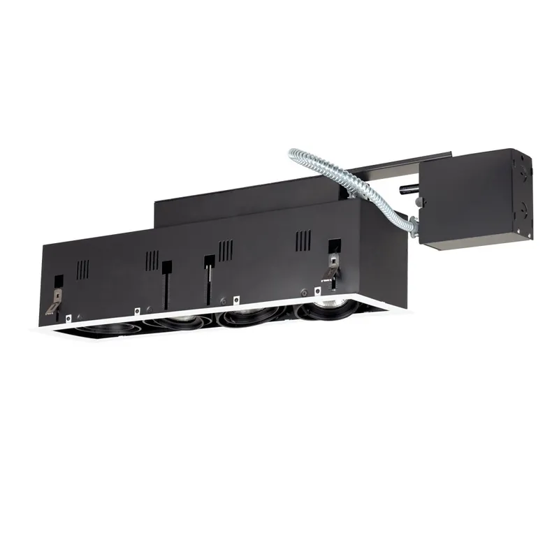 Signature PAR20 White & Black Recessed Lighting
