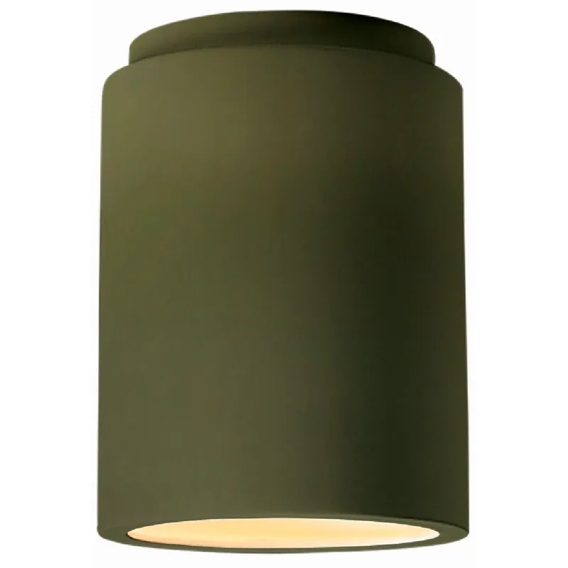 Radiance LED 6.5 inch Matte Green Flush Mount Ceiling Light