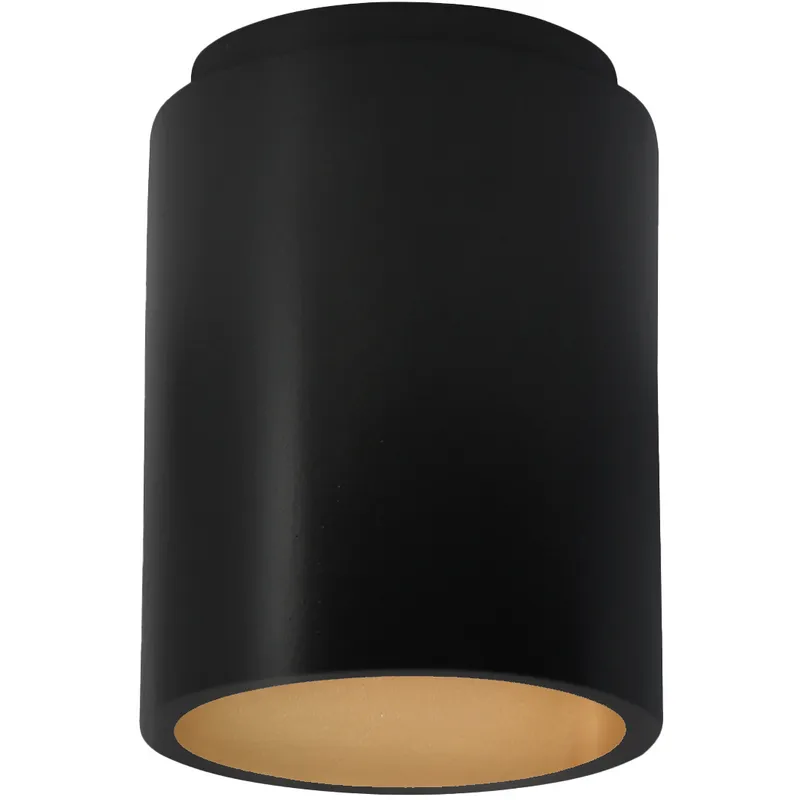 Radiance LED 6.5 inch Carbon Matte Black and Champagne Gold Flush Mount Ceiling Light in 1000 Lm LED, Carbon Matte Black/Champange Gold