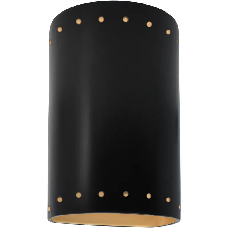 Ambiance Collection LED 9.5 inch Carbon Matte Black/Champagne Gold Outdoor Wall Sconce