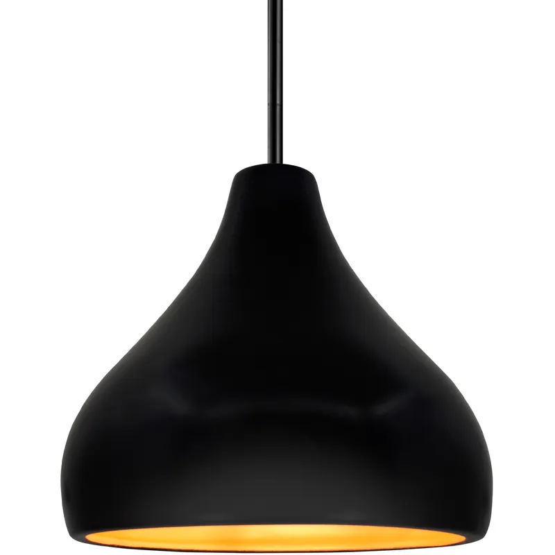 Radiance 1 Light 11.5 inch Carbon Matte Black and Champagne Gold and Matte Black Pendant Ceiling Light