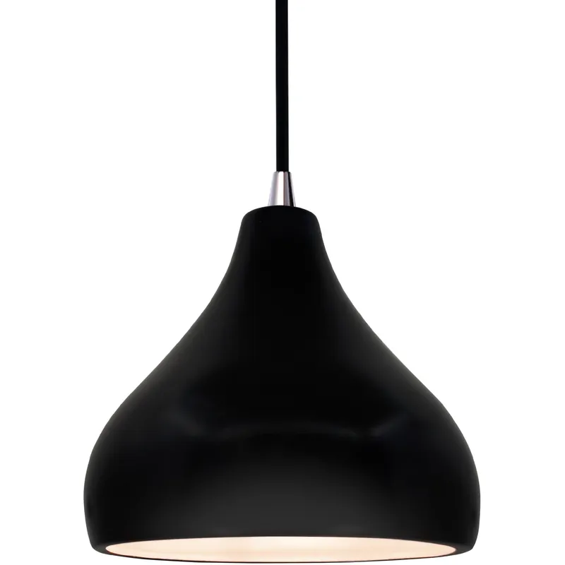 Radiance 1 Light 8 inch Carbon Matte Black and Brushed Nickel Pendant Ceiling Light