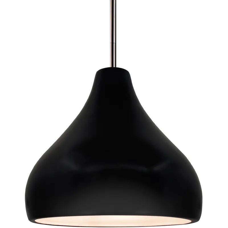 Radiance 1 Light 11.5 inch Carbon Matte Black and Brushed Nickel Pendant Ceiling Light
