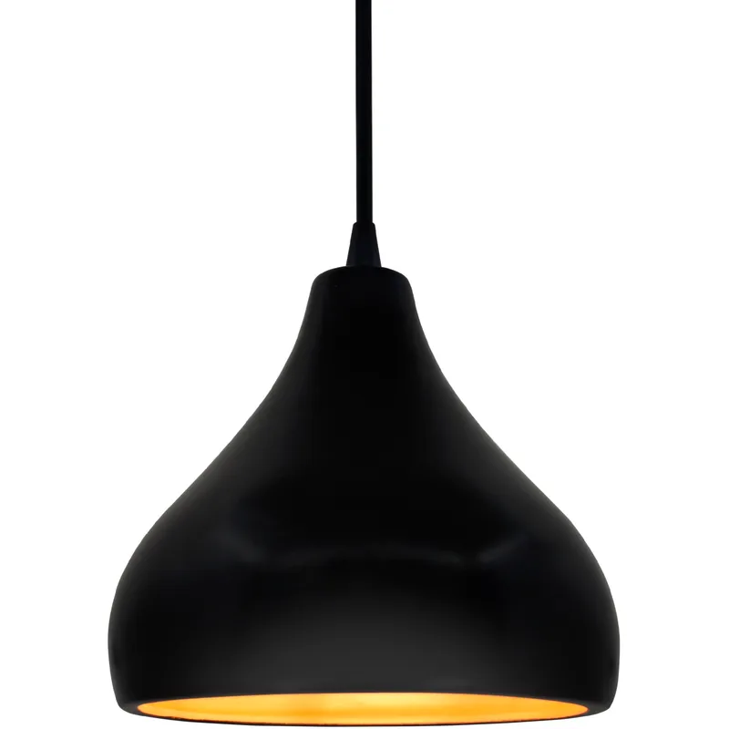 Radiance 1 Light 8 inch Carbon Matte Black and Champagne Gold and Matte Black Pendant Ceiling Light