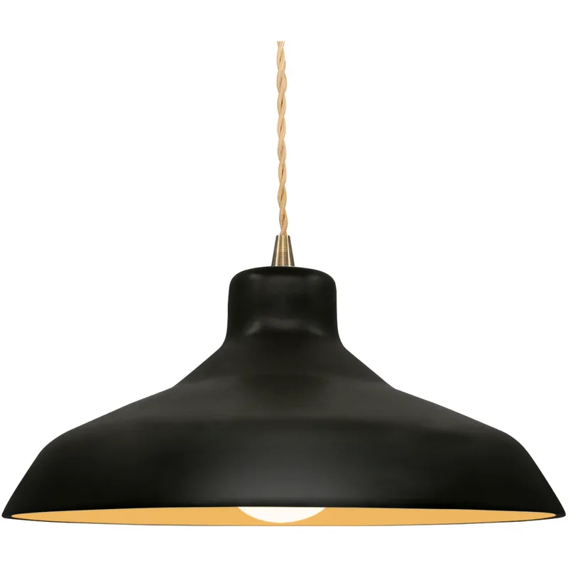 Radiance 1 Light 15.5 inch Carbon Matte Black and Champagne Gold and Antique Brass Pendant Ceiling Light
