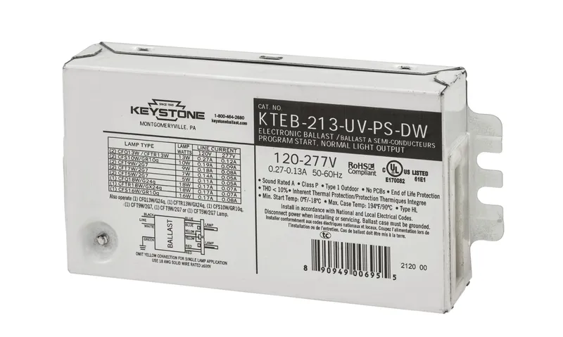 1 or 2 x 13W CFL 4 Pin, 120-277V input, Program Start, no leads, no studs, Dual Wire connectors